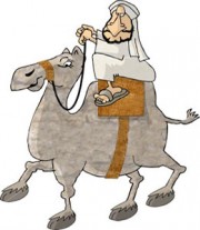 arab_camel