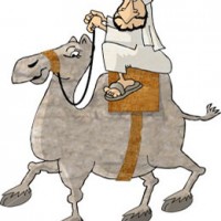 arab_camel