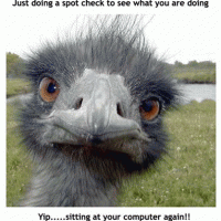 ajustcheckingup