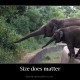 size-does-matter