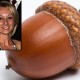 acorn-pointer
