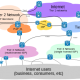 Internet_Connectivity_Distribution_&_Core_svg
