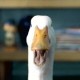 aflac-duck